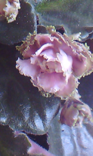 2015-07-09 15.47.56