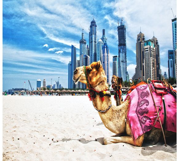  - Dubai Dubai - viata ca-n RAI