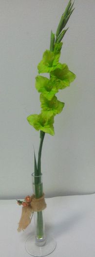 gladiola verde 2