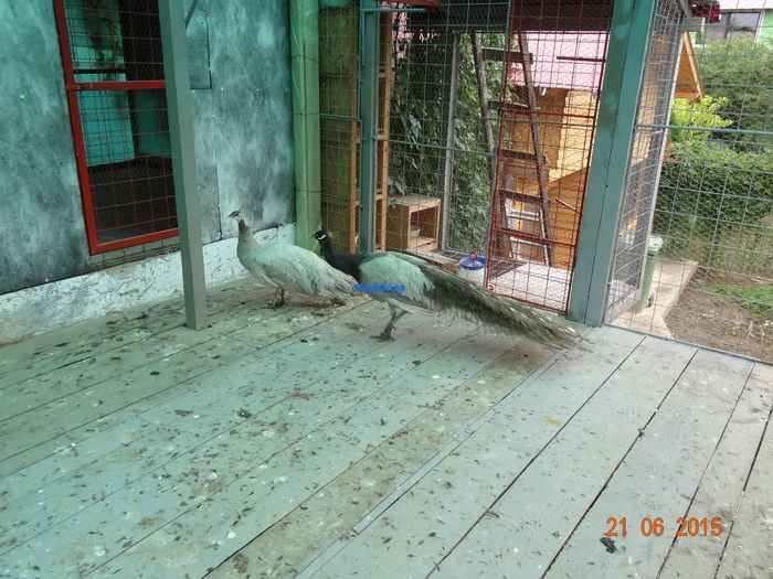 DSC01721