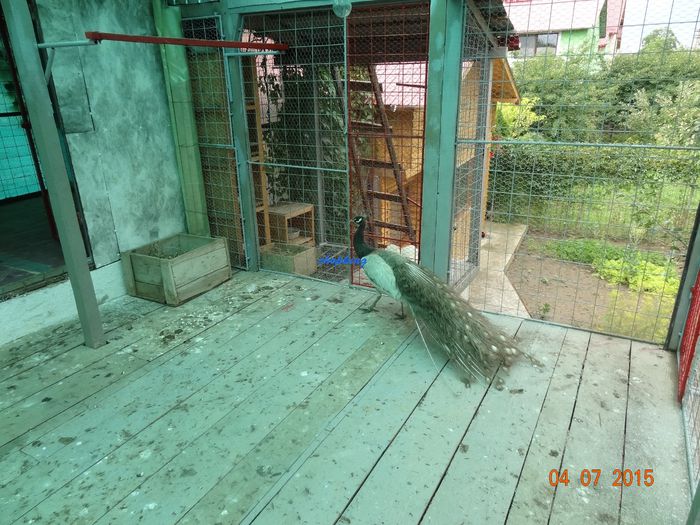 DSC02640