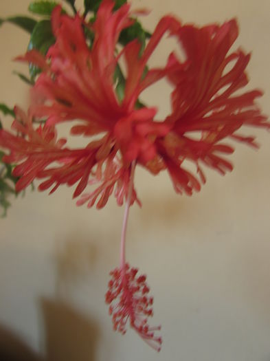 084