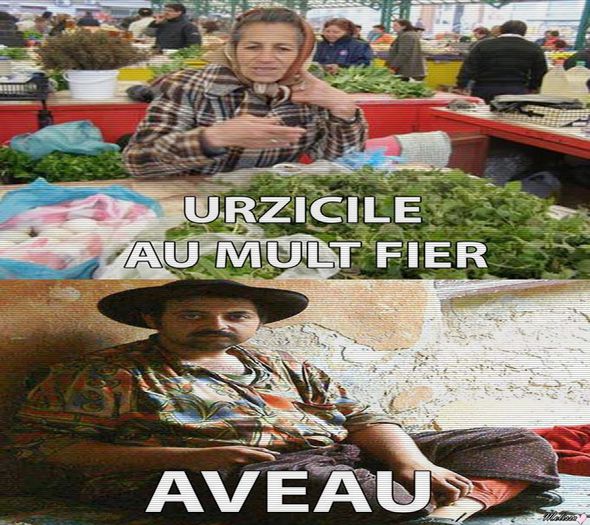 ·•● Day 18 - 03 All the little lights