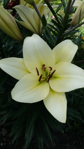 20150702_153258
