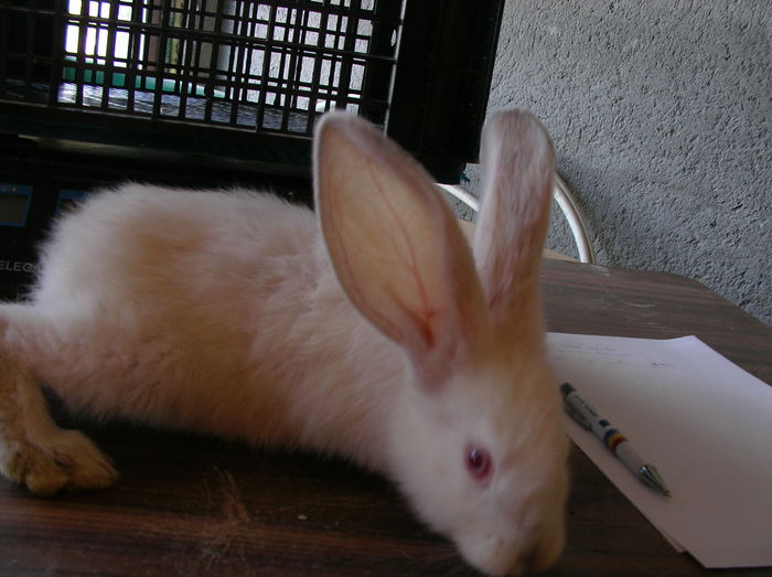 nata nasterii 05.05.2015