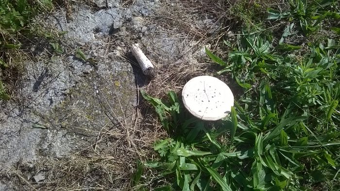 WP_20140928_14_57_45_Pro