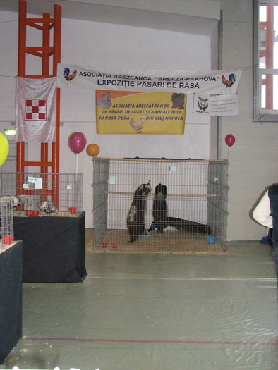 Expozitia Nationala Breaza 2010 279