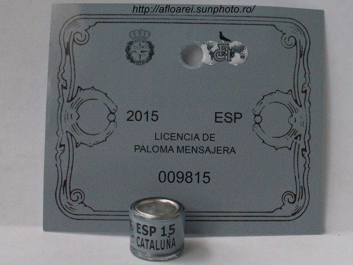 esp cataluna 15 - CATALUNYA