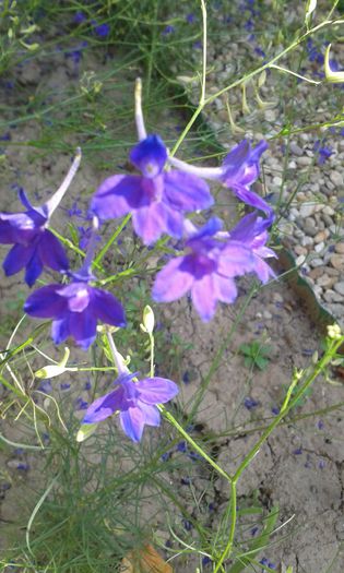 20150614_101805