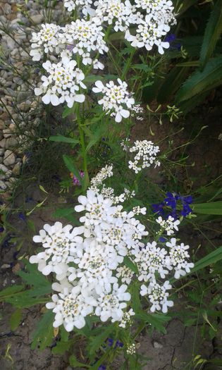20150614_101638