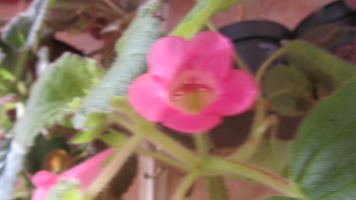 Magic Moment - Siningii