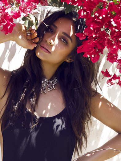 ' (6) - x-The exotic Shay Mitchell