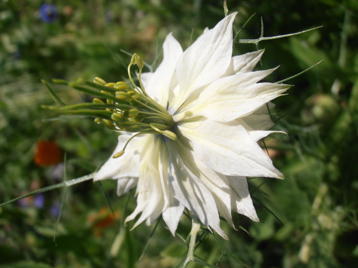 P7080061
