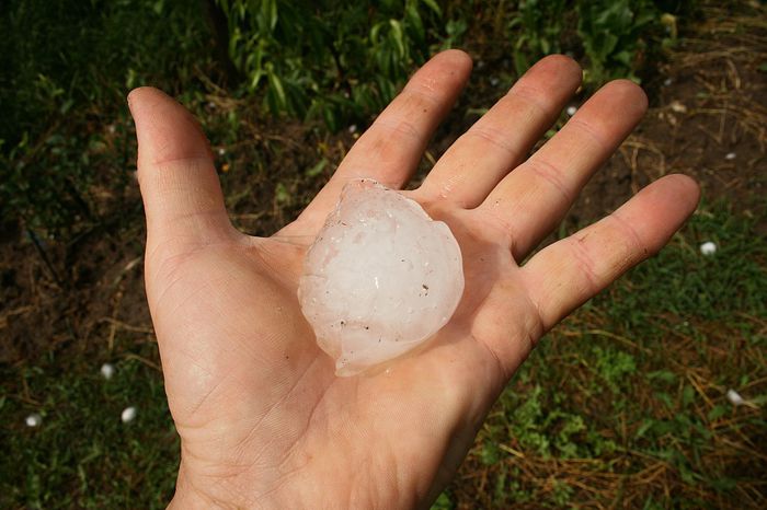 IMG_2966 - Grindina 25 mai 2015