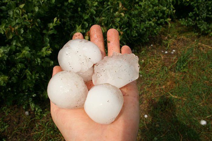 IMG_2968 - Grindina 25 mai 2015