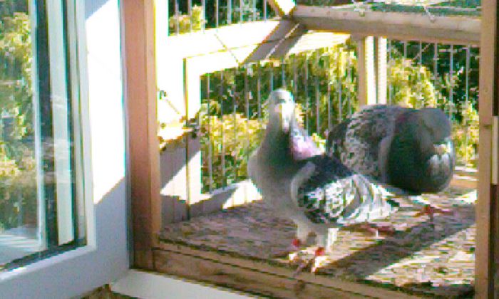 CAM00285