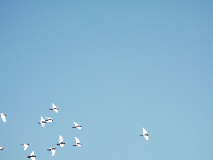 Picture 6746