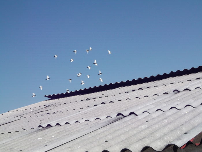 Picture 6753