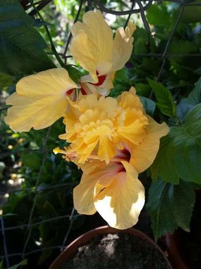 20150712_132634