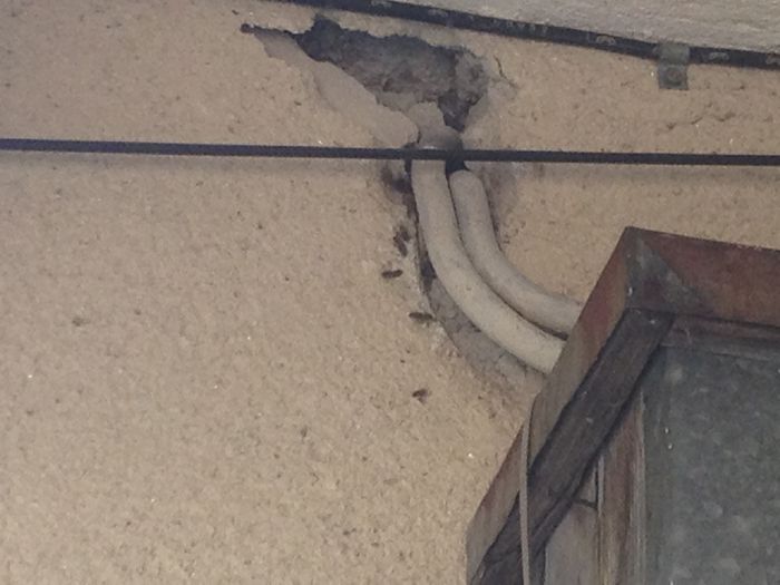 dintre peretii unui bloc