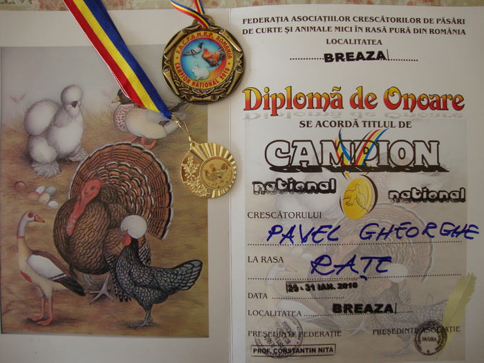 DSC00687 - AnimalesiPasari