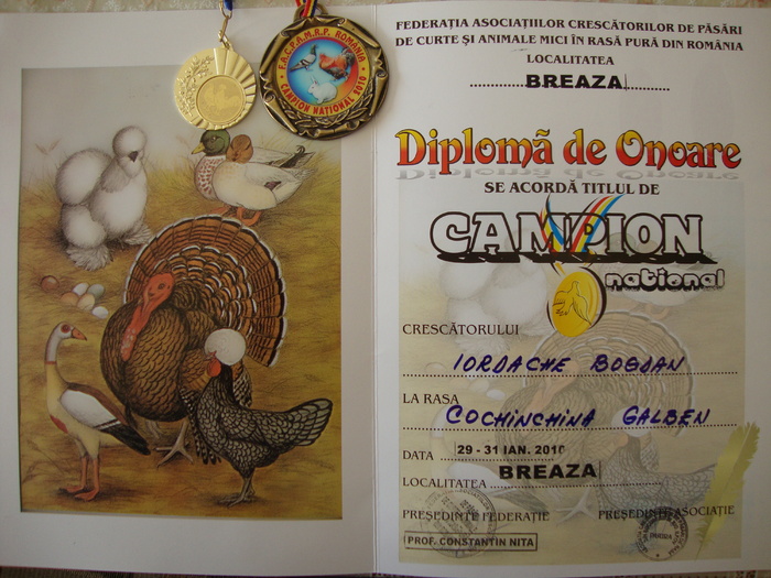 DSC00689 - AnimalesiPasari