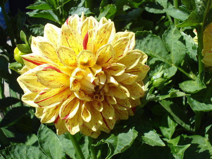 DSC02569
