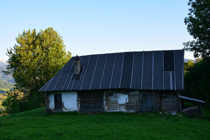 DSC_6029