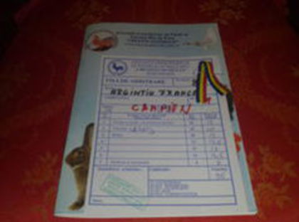 CAMPIONI & OVIDIUOANA70