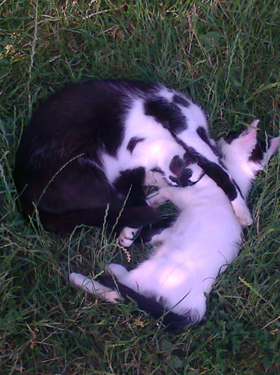 MAMA CU FIUL SOMN LA PRANZ :)