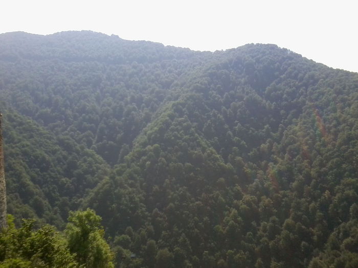 Fotografie4151 - CETATEA POENARI