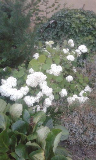 20150615_214026