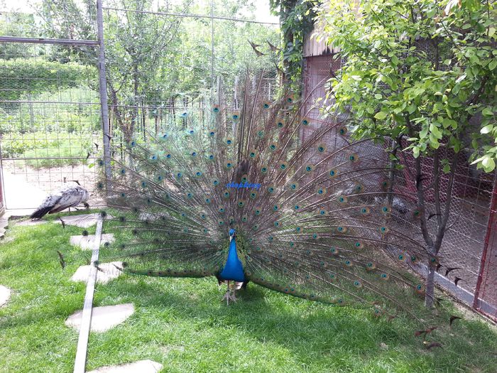 20150528_151814