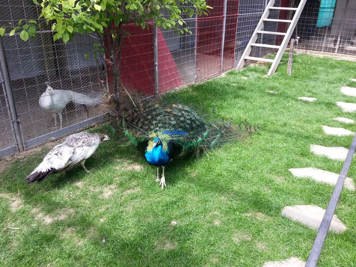 20150528_151903