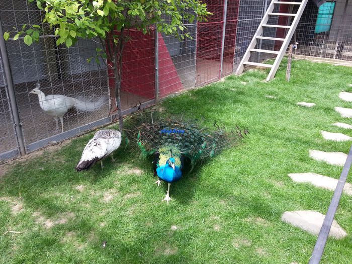 20150528_151905