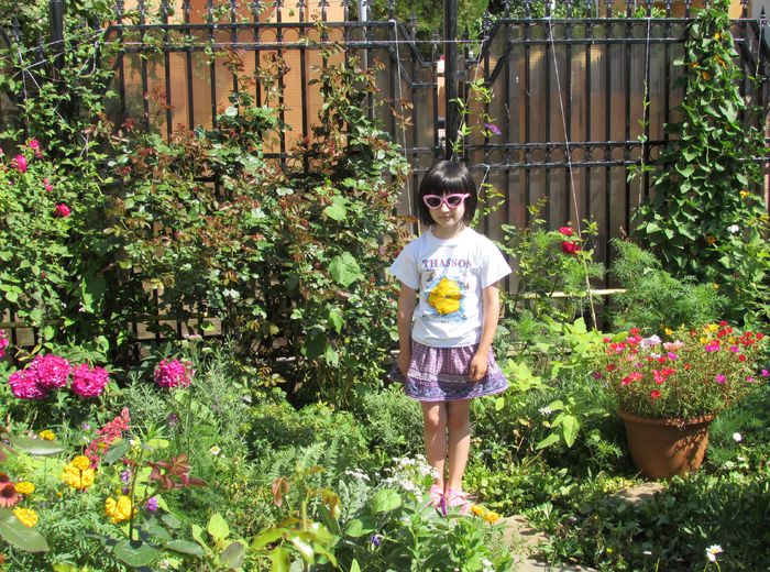 12 iulie - 2015 gradina mea
