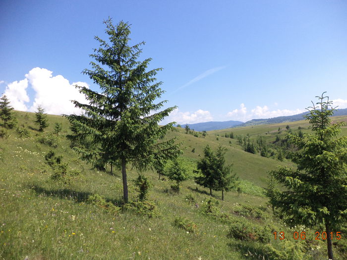 Molizi pe coasta - POZE FRUMOASE CU DE TOATE