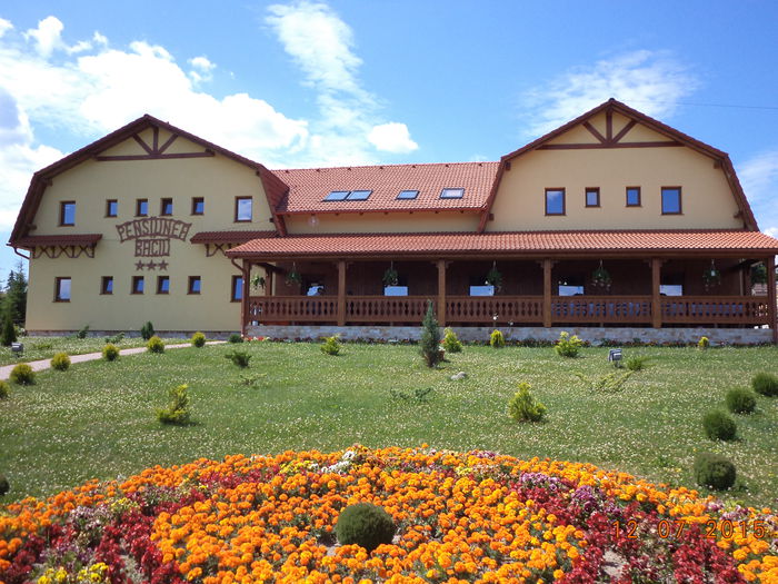 Restaurantul din fata - POZE FRUMOASE CU DE TOATE