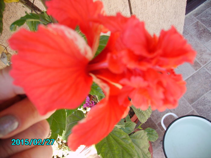 PICT2109