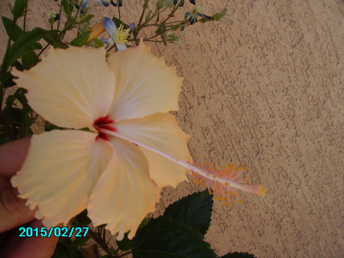 PICT2107