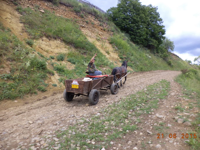 Trage Loti ca un elefant