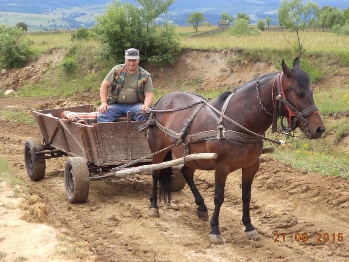Un drum lutos ca naiba