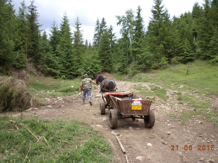 Urcam la deal-1 - POZE FRUMOASE CU DE TOATE