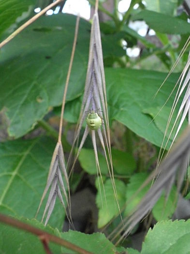 P7010096