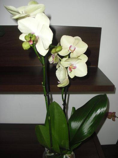CIMG6117