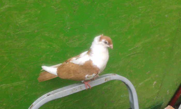 Copy of 20150714_144210