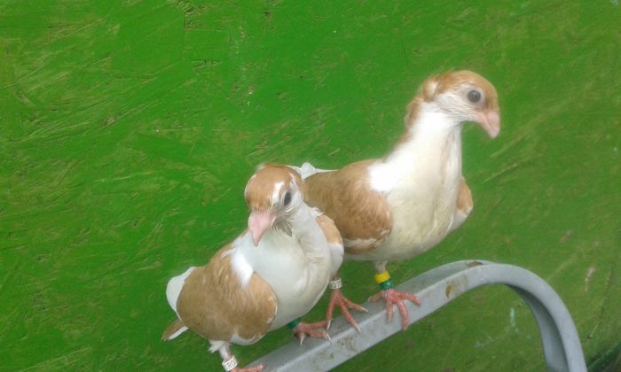 Copy of 20150714_143922