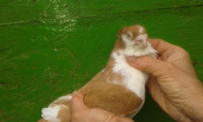 Copy of 20150714_162603