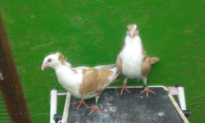 Copy of 20150714_151952