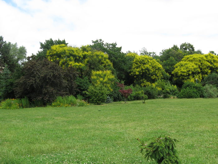 2 (4) - PARCUL MEU DE SUFLET-PARCUL CIRCULUI